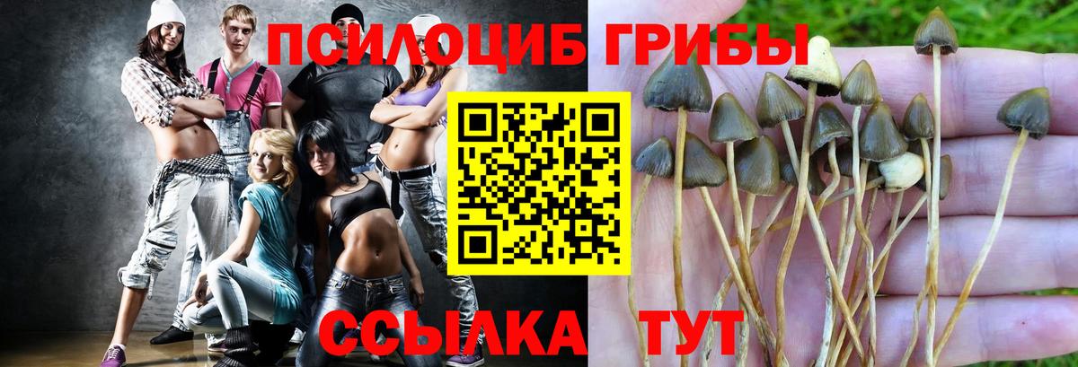 Невинномысск  Галлюциногенные грибы MAGIC MUSHROOMS  Вход с VPN  дарнет шоп  Псилоцибиновые грибы Psilocybe 
